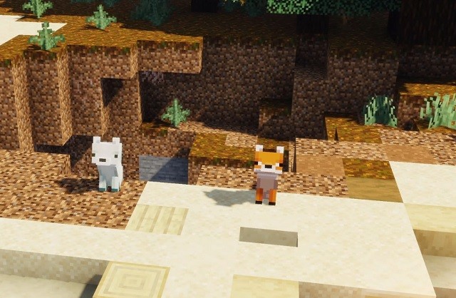 A Fox
