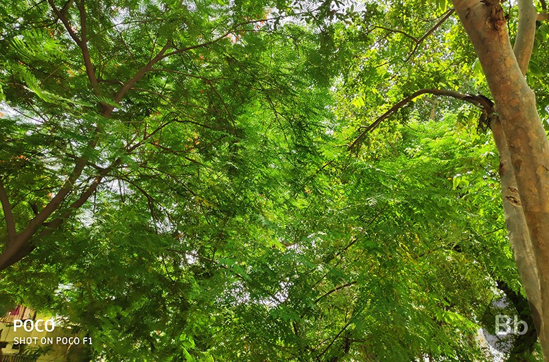 Ảnh chụp ban ngày 3