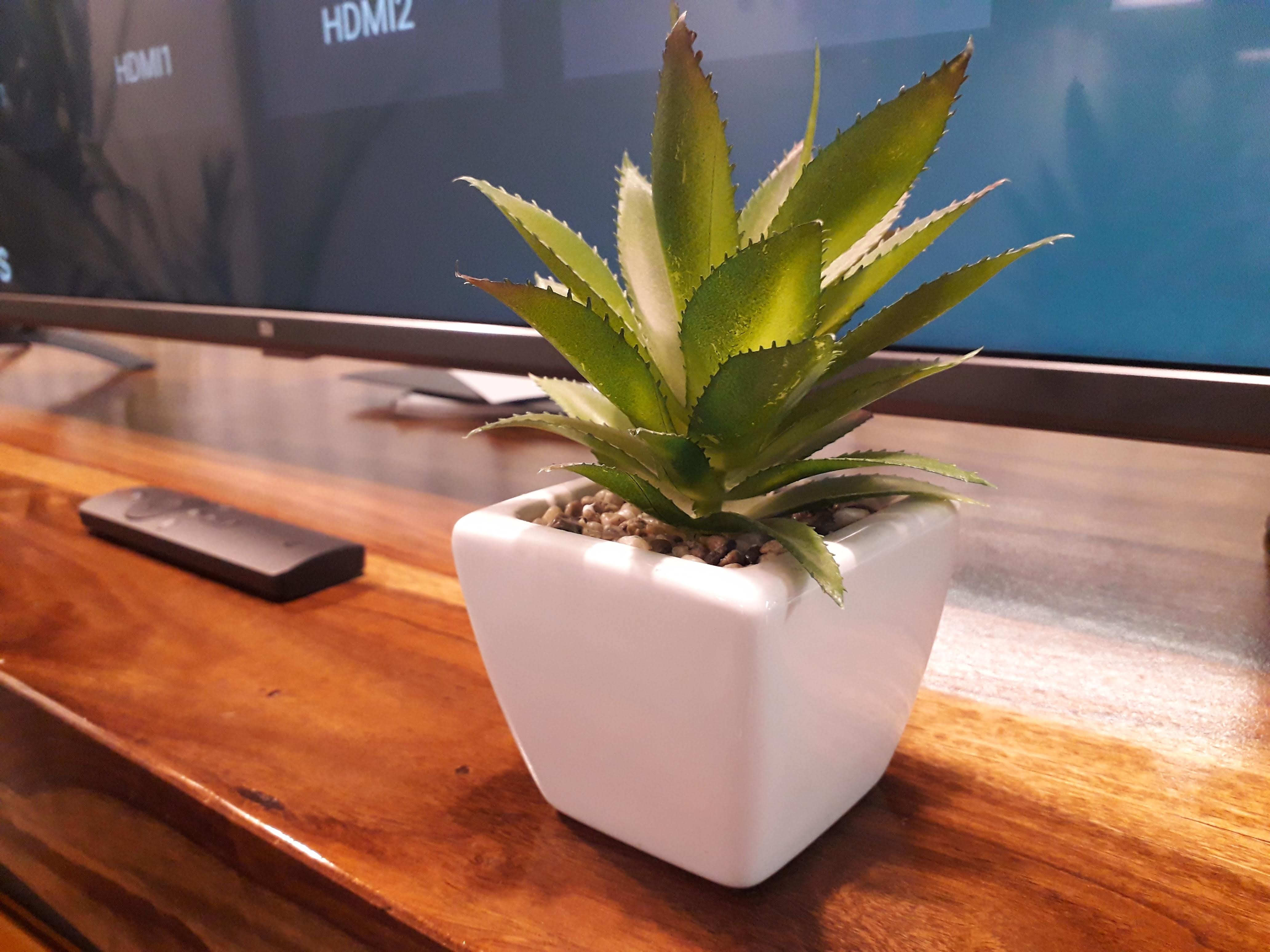 Ảnh chụp từ camera Samsung Galaxy M10