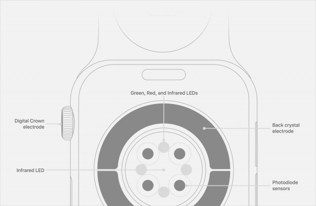 Theo Dõi Biến Động Nhịp Tim (HRV) Trên Apple Watch: Hướng Dẫn Chi Tiết 2025