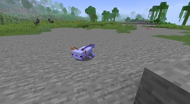 Bí mật Axolotl Xanh Lam: Loài Hiếm Nhất Trong Minecraft (Cập nhật 2025)