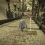 Hướng dẫn chi tiết cách sở hữu song kiếm Euporia trong Elden Ring: Shadow of the Erdtree