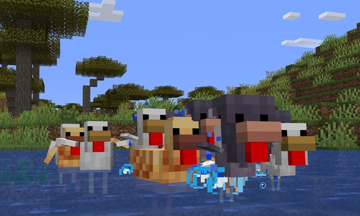 Biến thể Gà trong Minecraft