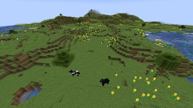 Biome đồng bằng hoa hướng dương