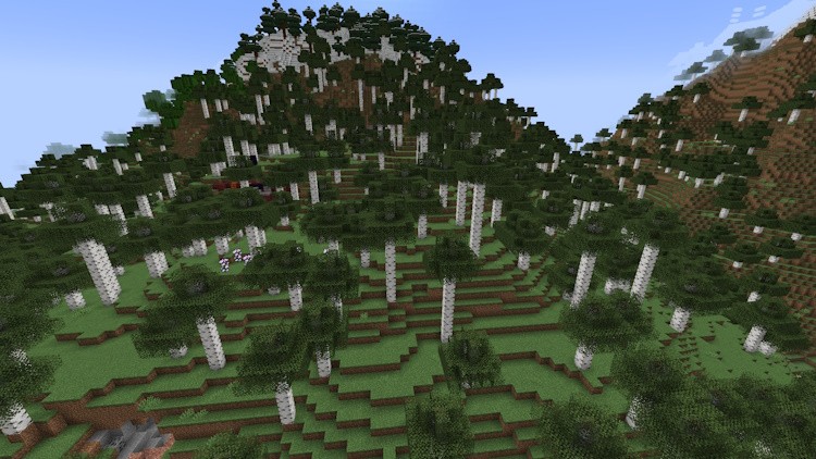 Biome rừng bạch dương cổ thụ