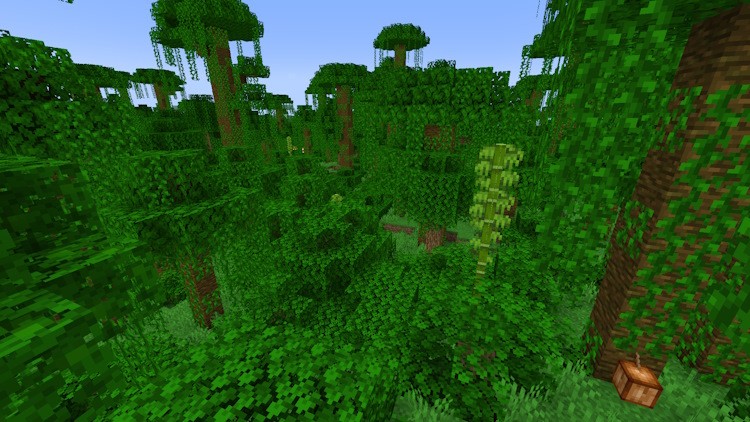 Biome rừng rậm trong Minecraft