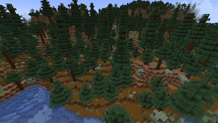 Biome taiga vân sam cổ thụ trong Minecraft
