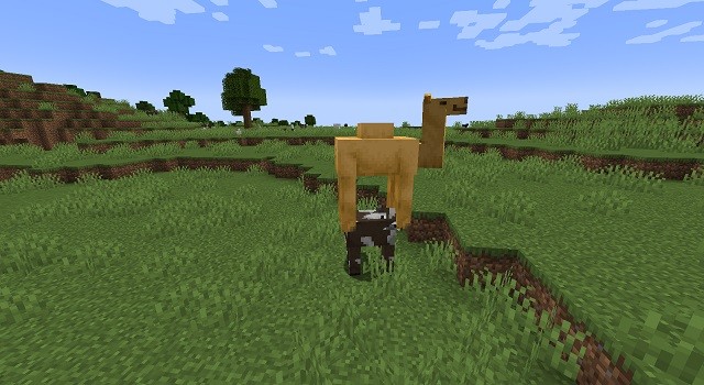 Bước 1 để tạo tháp mob trong Minecraft