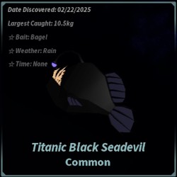 Cá Black Seadevil Khổng Lồ