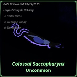 Cá Saccopharynx Khổng Lồ