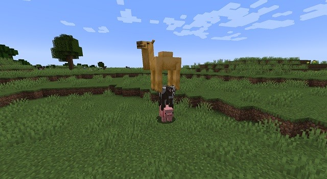 Cách sử dụng lệnh Ride trong Minecraft