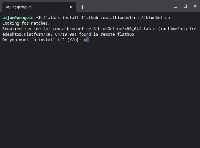 Cài đặt Albion Online trên Chromebook bằng Linux