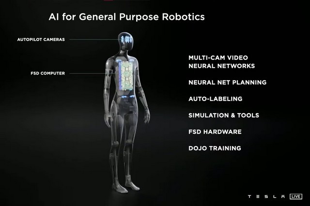 Cấu trúc bên trong của Tesla Bot