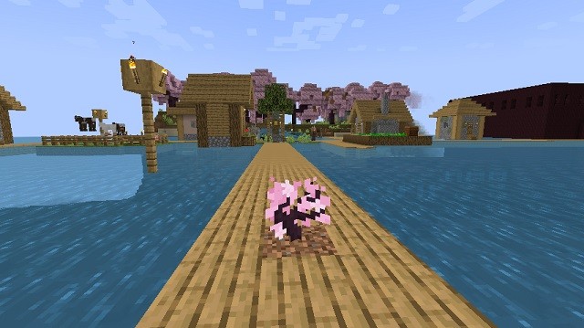 cây non anh đào trong khu rừng hoa anh đào trong Minecraft