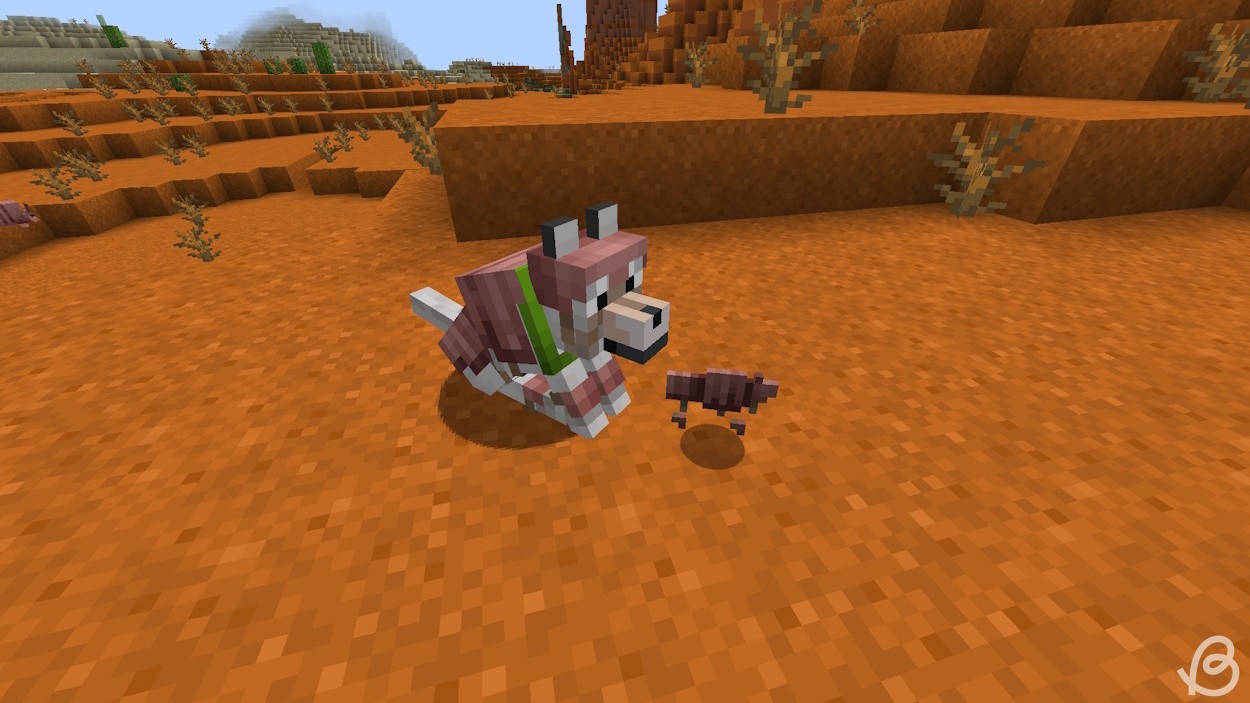 Chó mặc áo giáp sói và vật phẩm áo giáp sói phía trước trong Minecraft Snapshot 24w03a