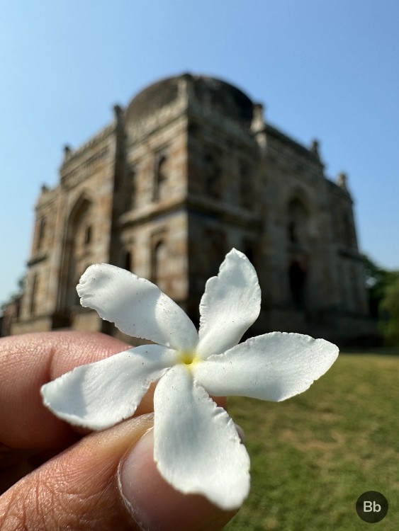 Chụp macro