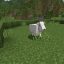 Khám Phá Dê Trong Minecraft: Từ Tìm Kiếm Đến Chăn Nuôi Hiệu Quả (2025)
