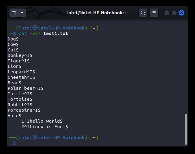 display invisible characters using the cat command