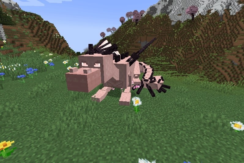 Dragon Mounts Legacy