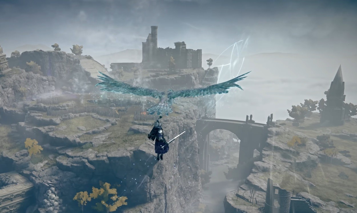 Elden Ring Night reign is a Rogue-like