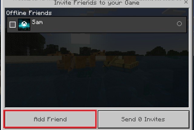 Friends within Minecraft