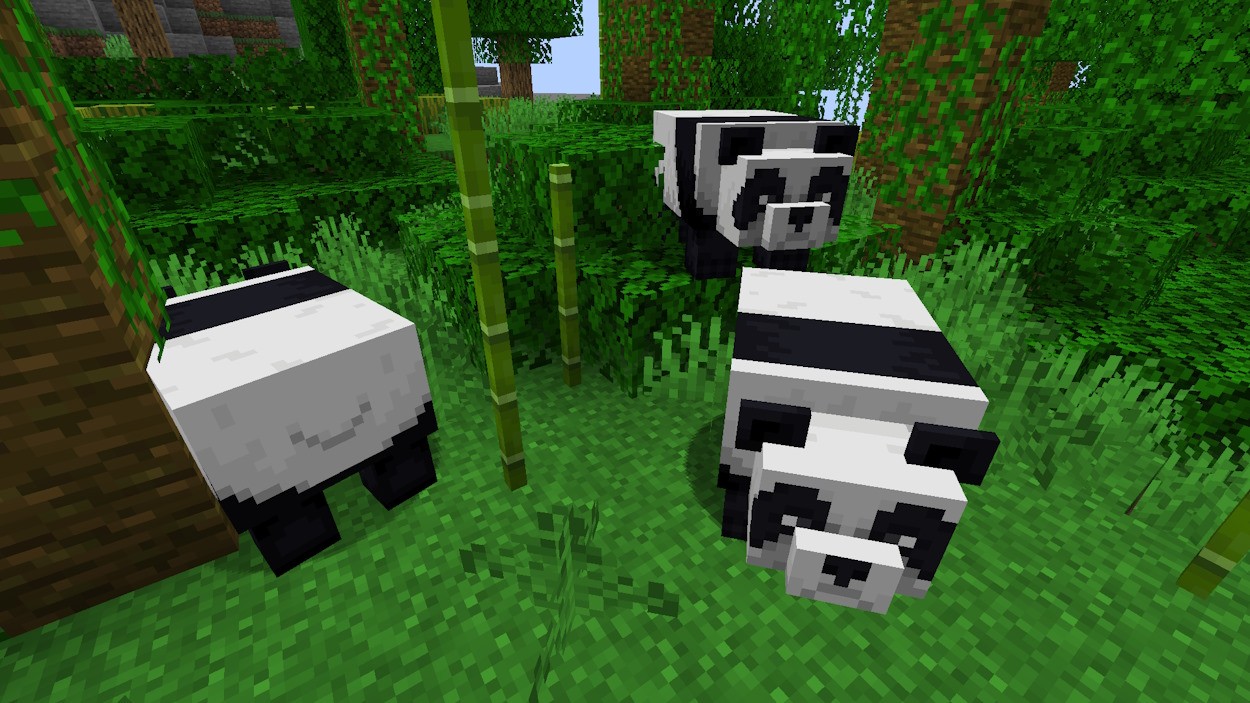 Gấu trúc trong rừng rậm Minecraft