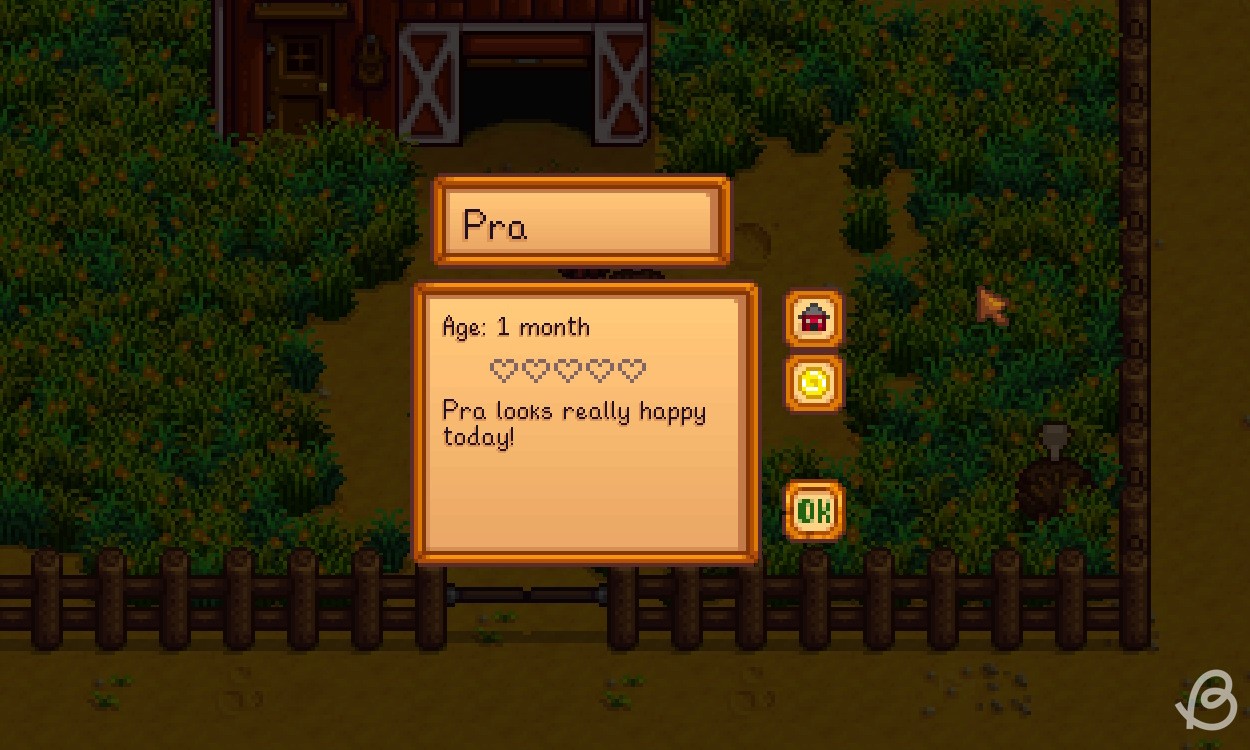 Giao diện thông tin của động vật trong Stardew Valley