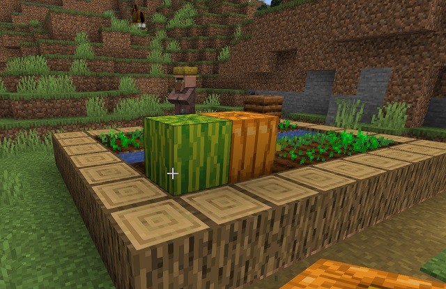 Hình ảnh bí ngô và dưa hấu trong Minecraft