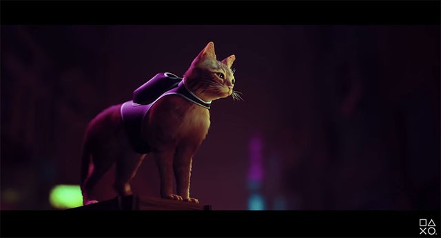 Stray: Khám Phá Thế Giới Mèo Phiêu Lưu Độc Đáo Đã Có Mặt Trên Xbox!