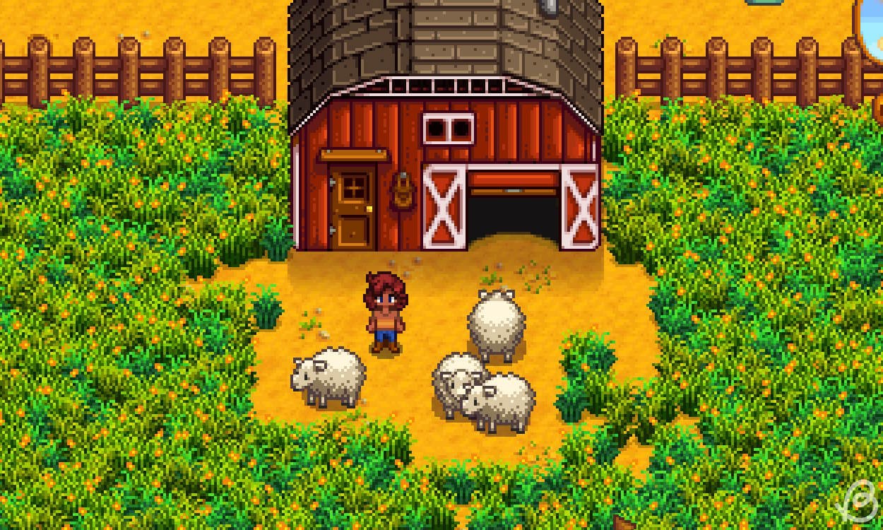 Hình ảnh đàn cừu trong Stardew Valley