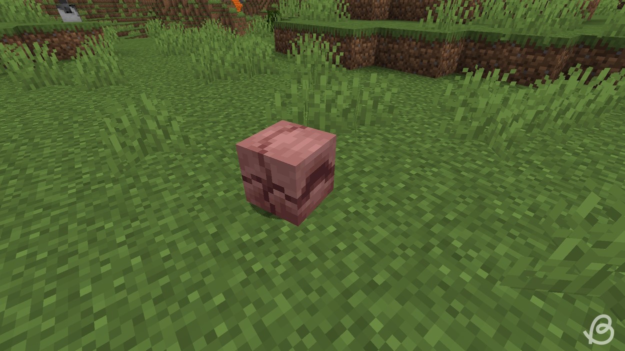 Hình ảnh động mới khi Armadillo cuộn tròn trong Minecraft Snapshot 24w06a