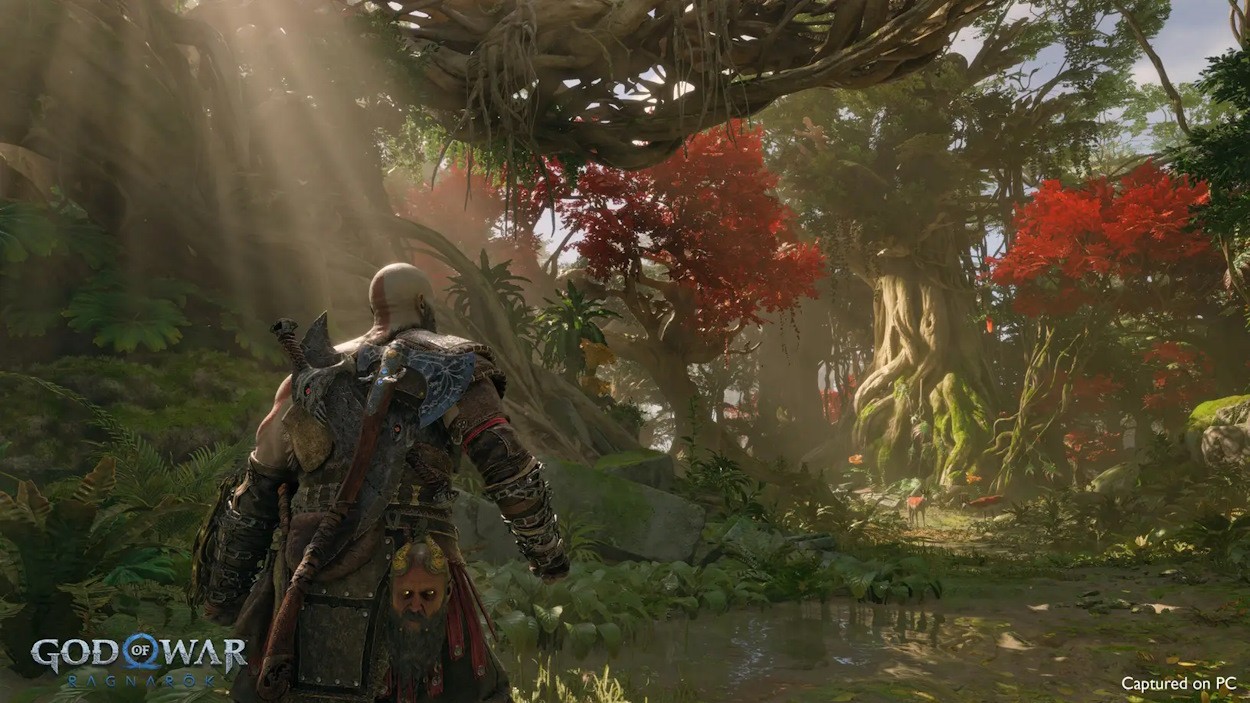 Hình ảnh God of War Ragnarok trên PC