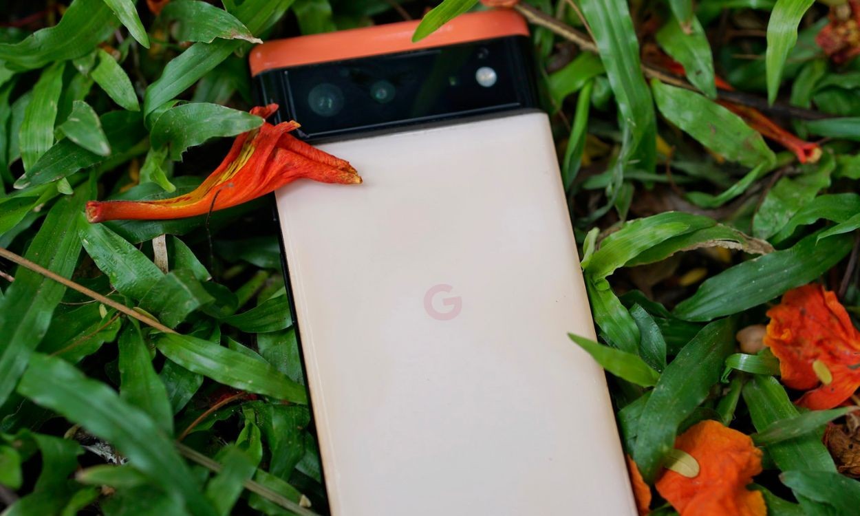 Hình ảnh Google Pixel 6