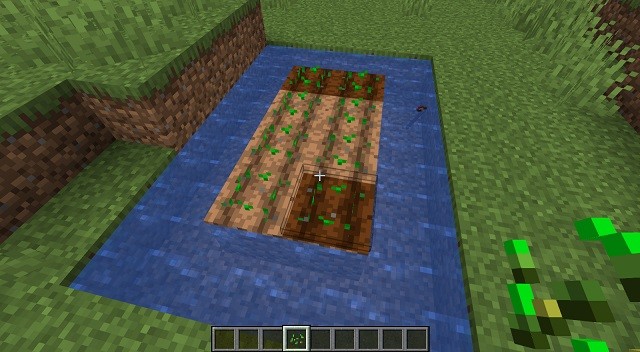 Hình ảnh hạt giống đã trồng trong Minecraft