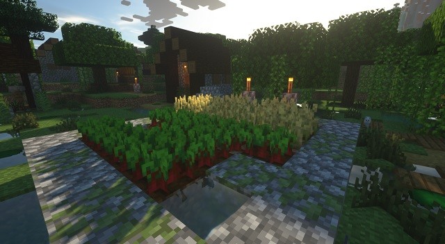 Hướng dẫn cách tìm và trồng các loại hạt giống trong Minecraft (2025)