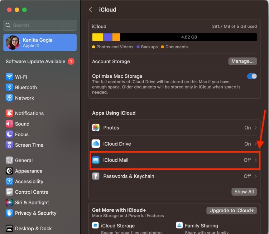 iCloud Mail trong cài đặt iCloud trên Mac