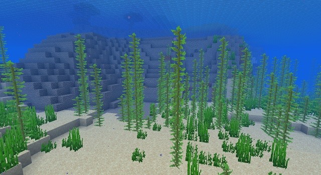 Kelp trong Minecraft