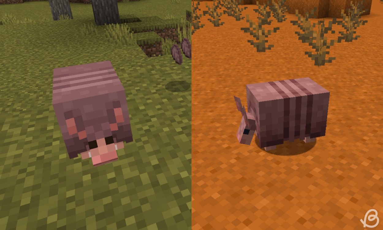 Minecraft Snapshot 24W03A: Armadillo “Lột Xác” và Cập Nhật Đáng Chú Ý