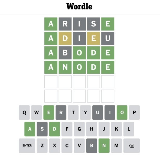 Kết quả giải Wordle sau khi nhập dữ liệu