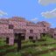 Khám Phá Khu Rừng Hoa Anh Đào (Cherry Grove) Tuyệt Đẹp Trong Minecraft 1.20