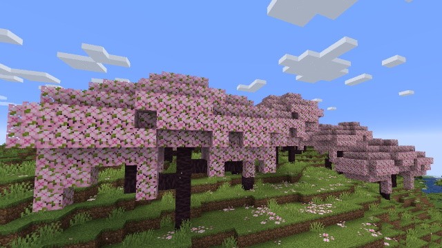 Khám Phá Khu Rừng Hoa Anh Đào (Cherry Grove) Tuyệt Đẹp Trong Minecraft 1.20