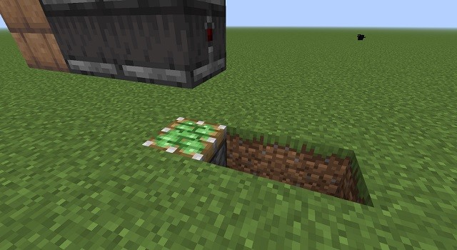 Khu vực trồng cây có bột xương cho farm trong Minecraft