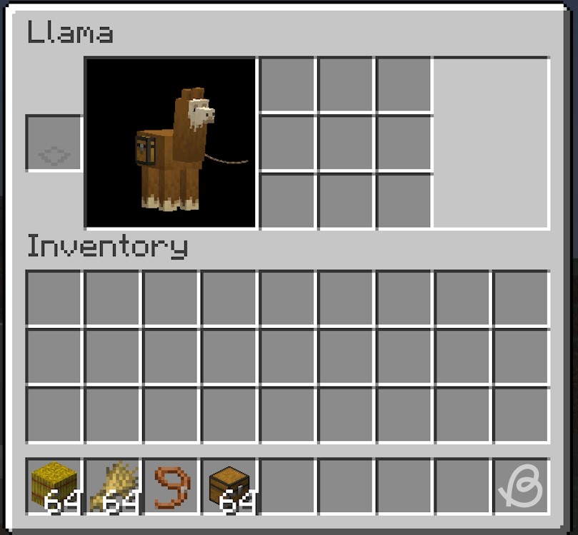 Lạc đà Alpaca sức mạnh 3