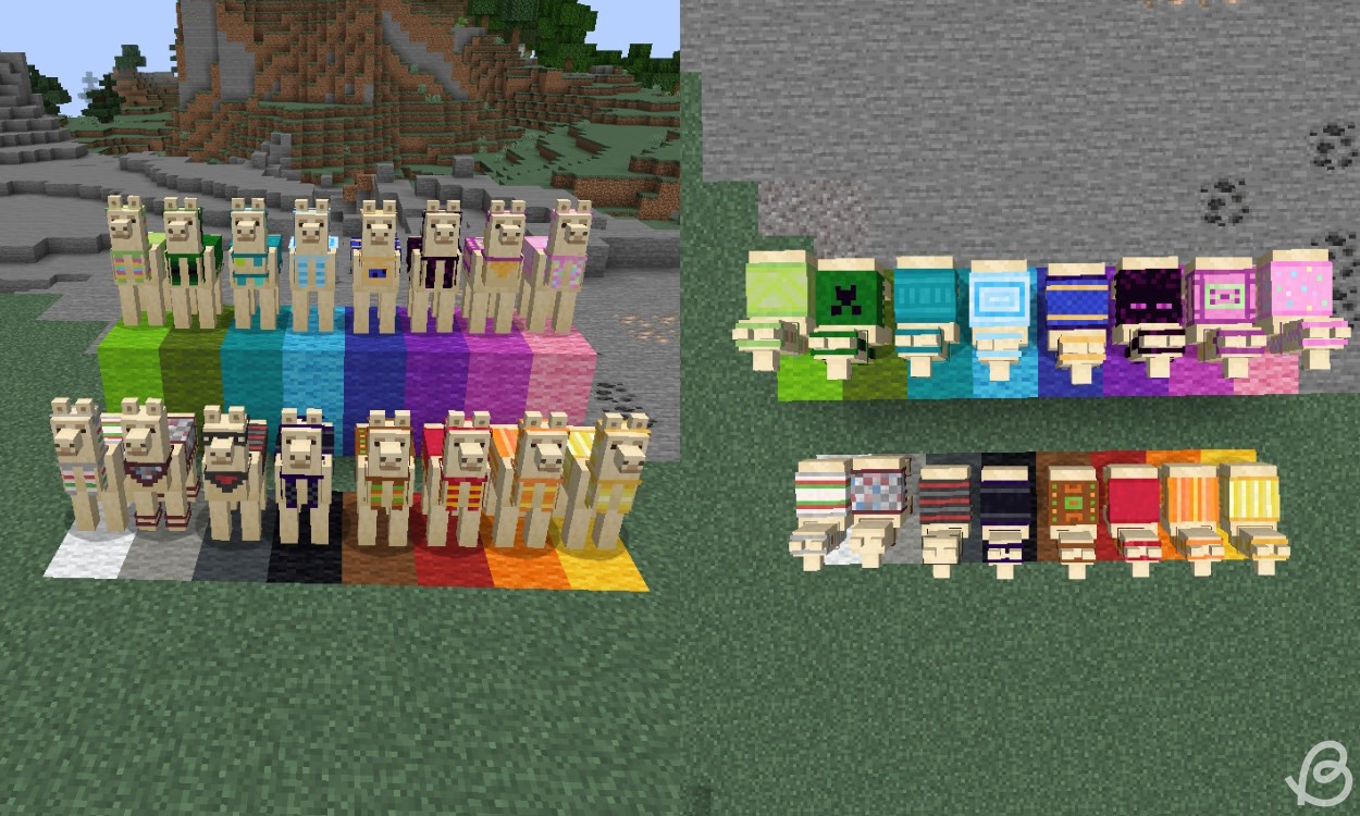 Lạc đà Alpaca với tất cả các biến thể thảm trong Minecraft