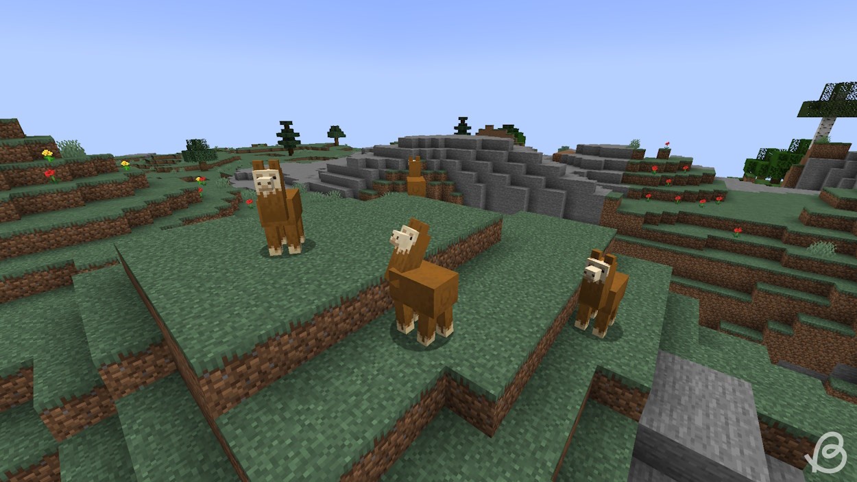 Tất Tần Tật về Lạc Đà Alpaca (Llama) Trong Minecraft: Cách Tìm, Thuần Hóa và Nhân Giống (Năm 2025)