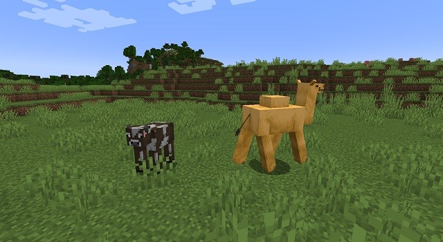Lạc đà và bò trong Minecraft