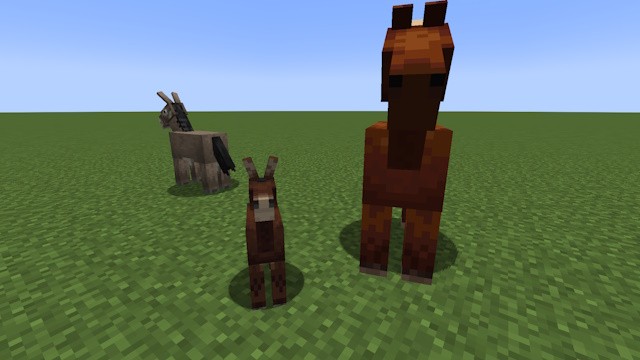 Lai giữa ngựa và lừa tạo ra một con la con trong Minecraft