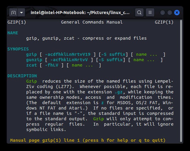 Lệnh gzip