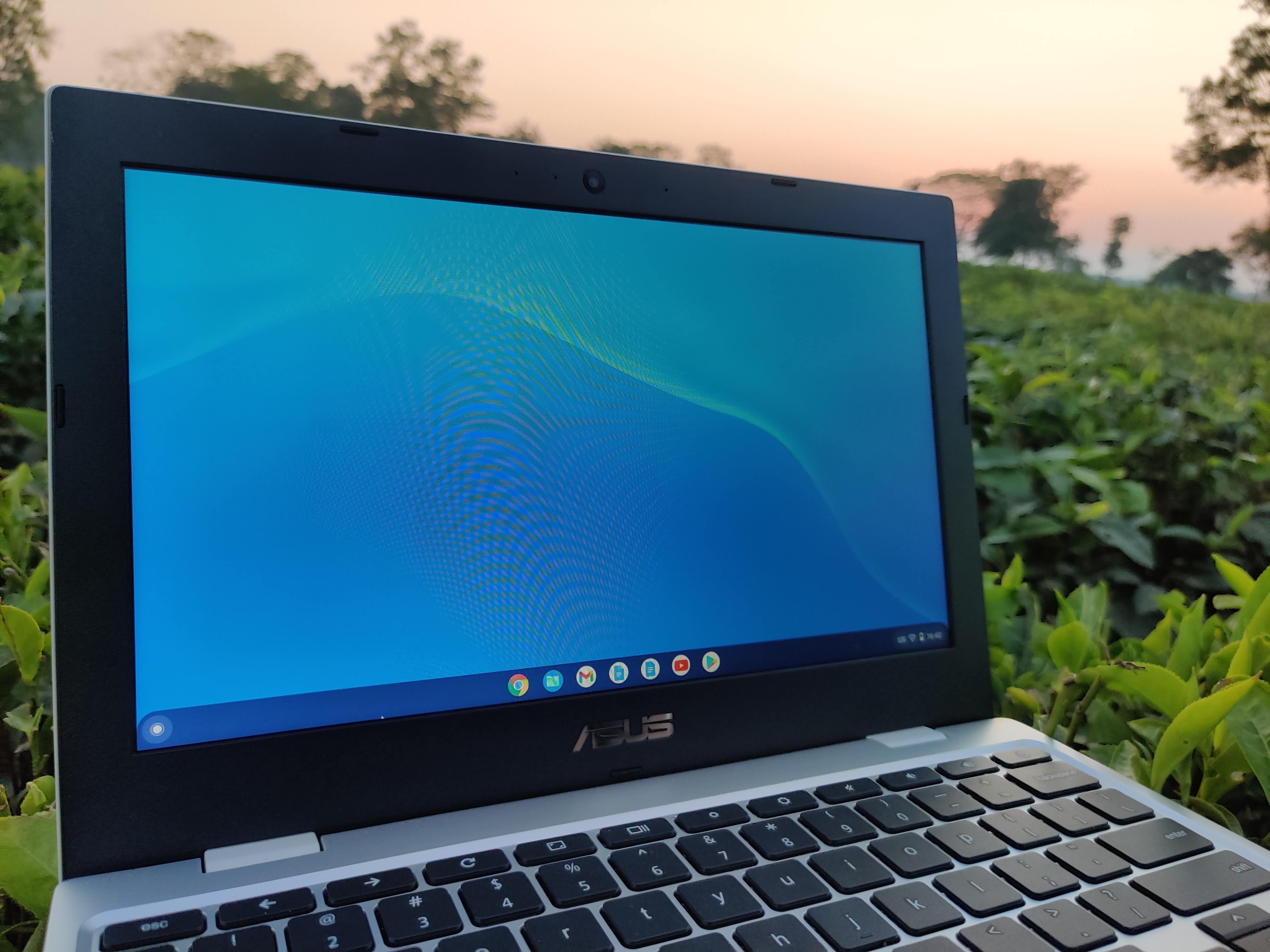 Màn hình Asus Chromebook CX1101