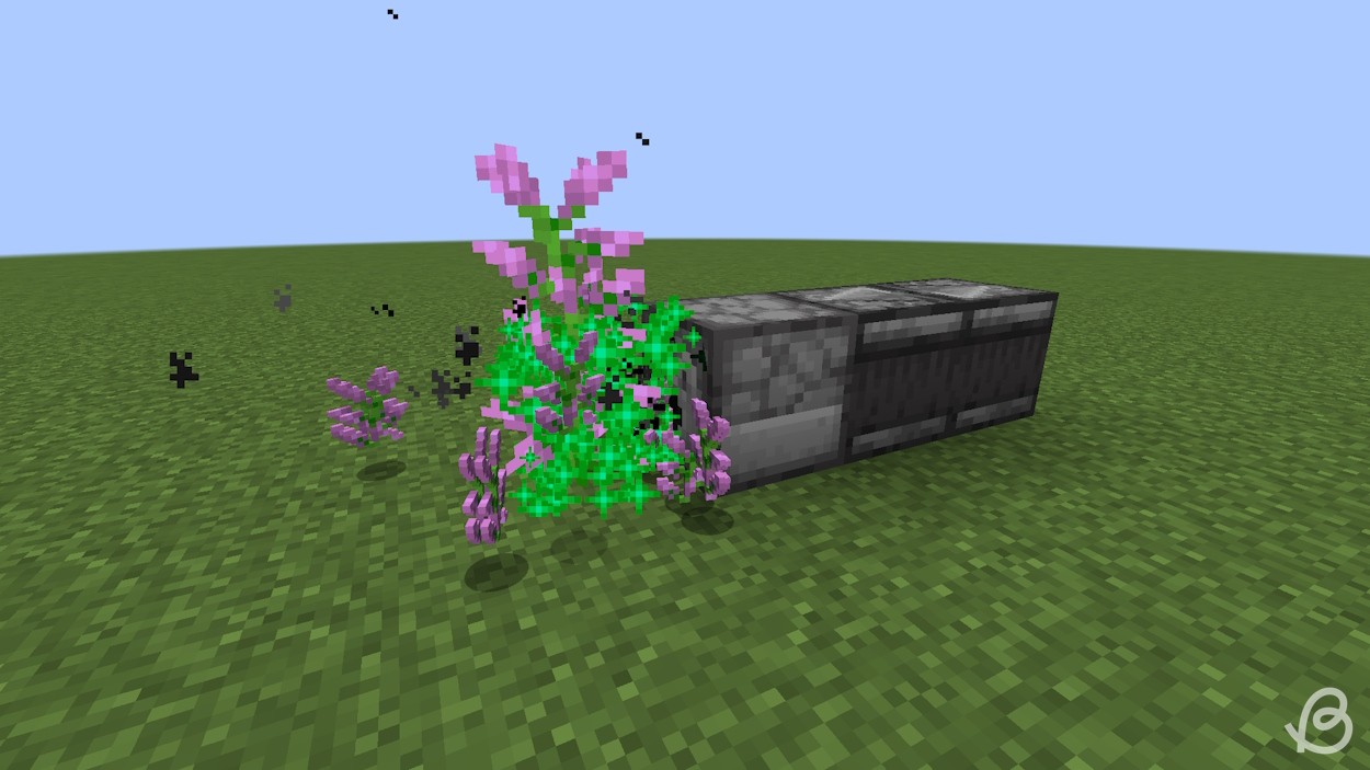 Máy phân phát sử dụng bột xương trên một bông hoa cao hai khối trong Minecraft